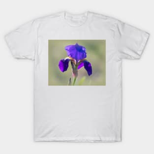 Wild Purple Bearded Iris T-Shirt